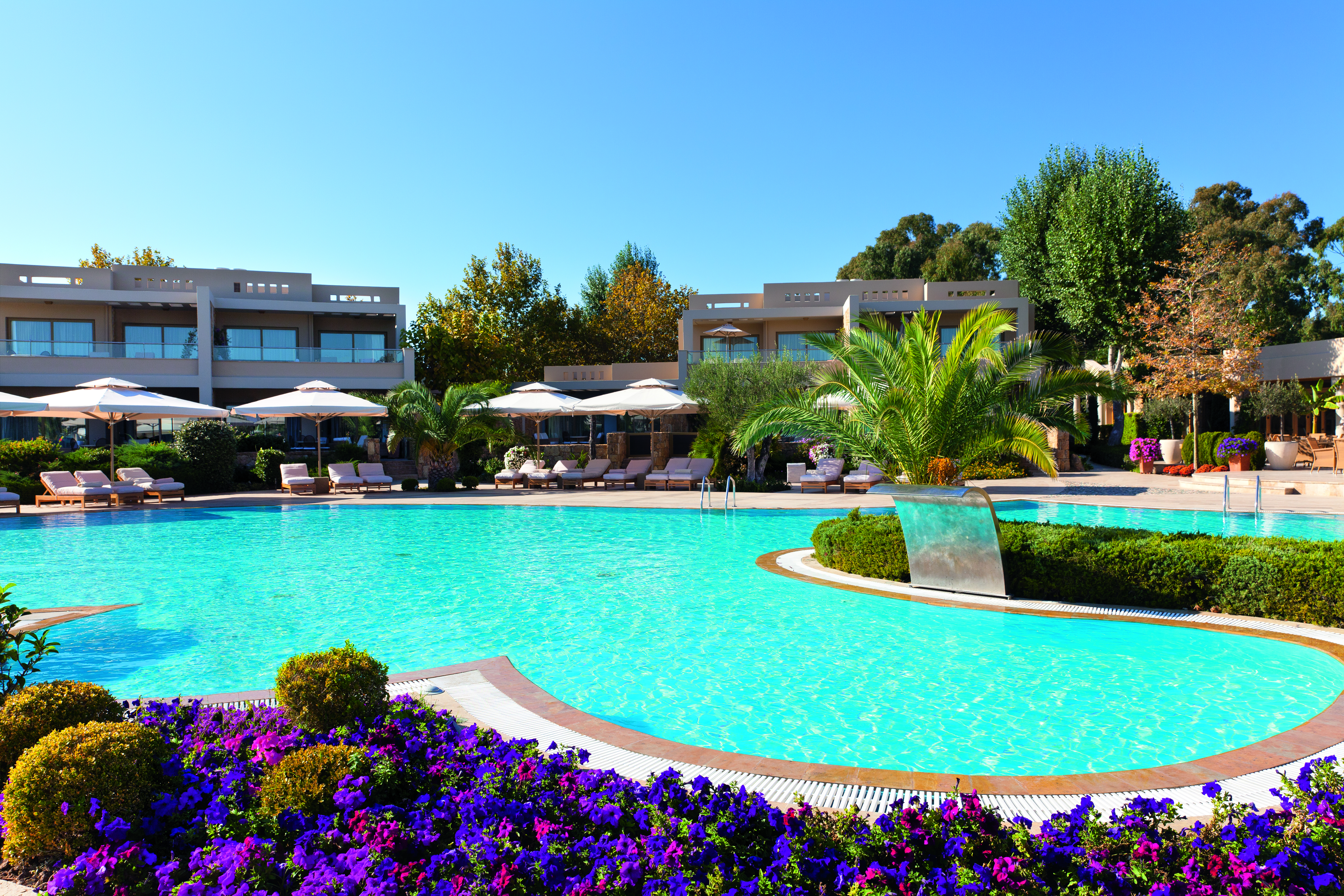 Sani Asterias Greece outdoor swimming pool next to pink and purple flowers with loungers and umbrellas