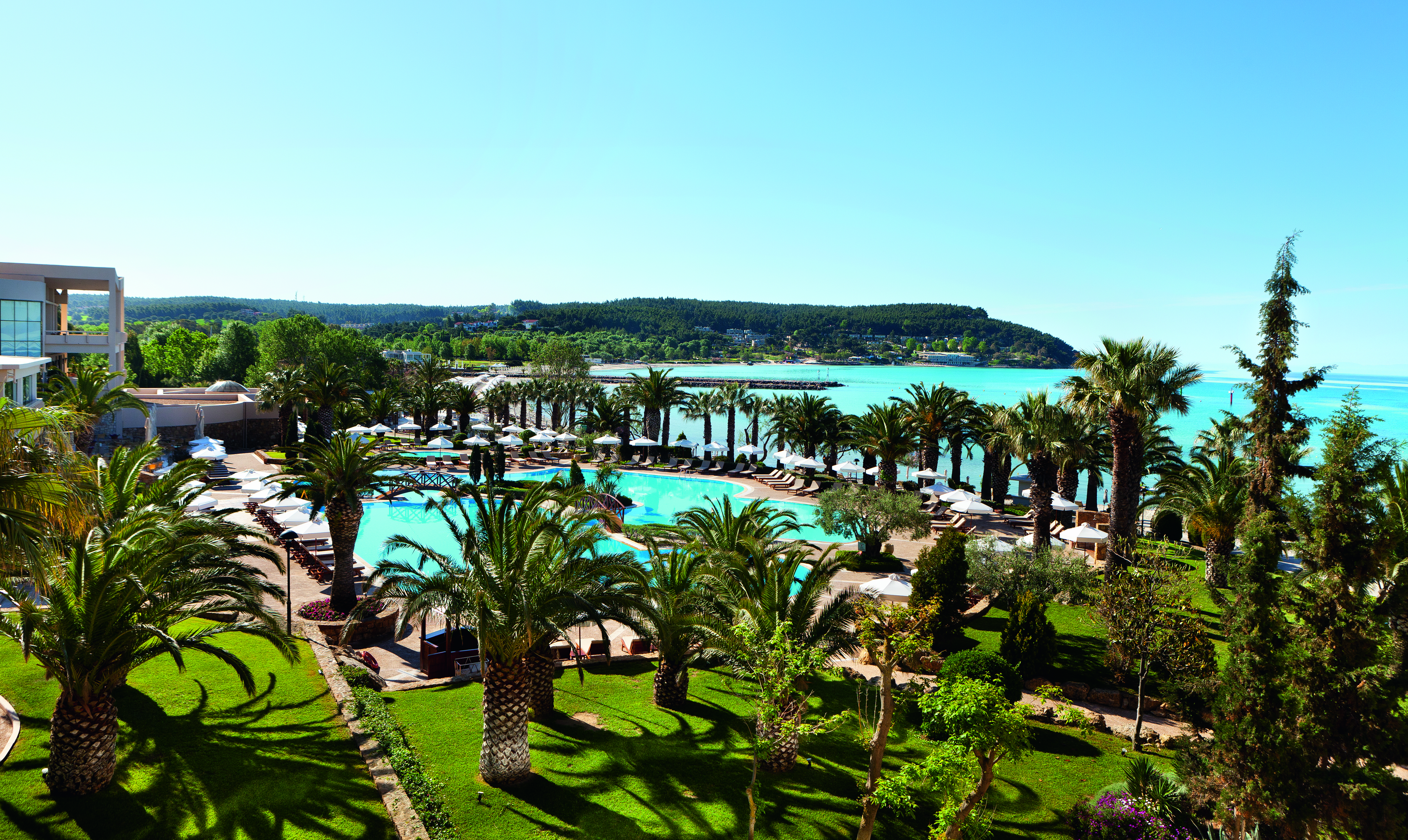 View of the Sani Beach pool from above with grassy areas and palm trees surrounding the pool