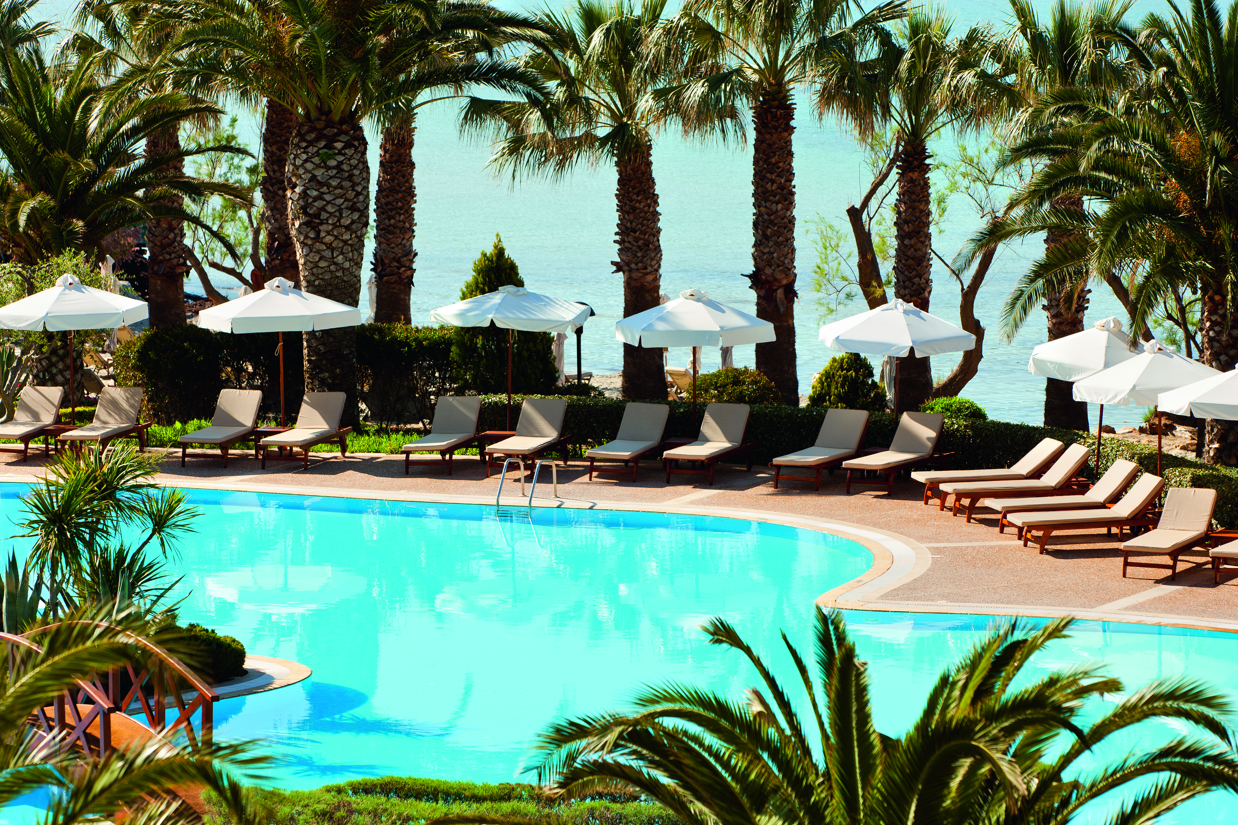 View of the pool at the Sani Beach with palm trees, umbrellas and deckchairs around the pool