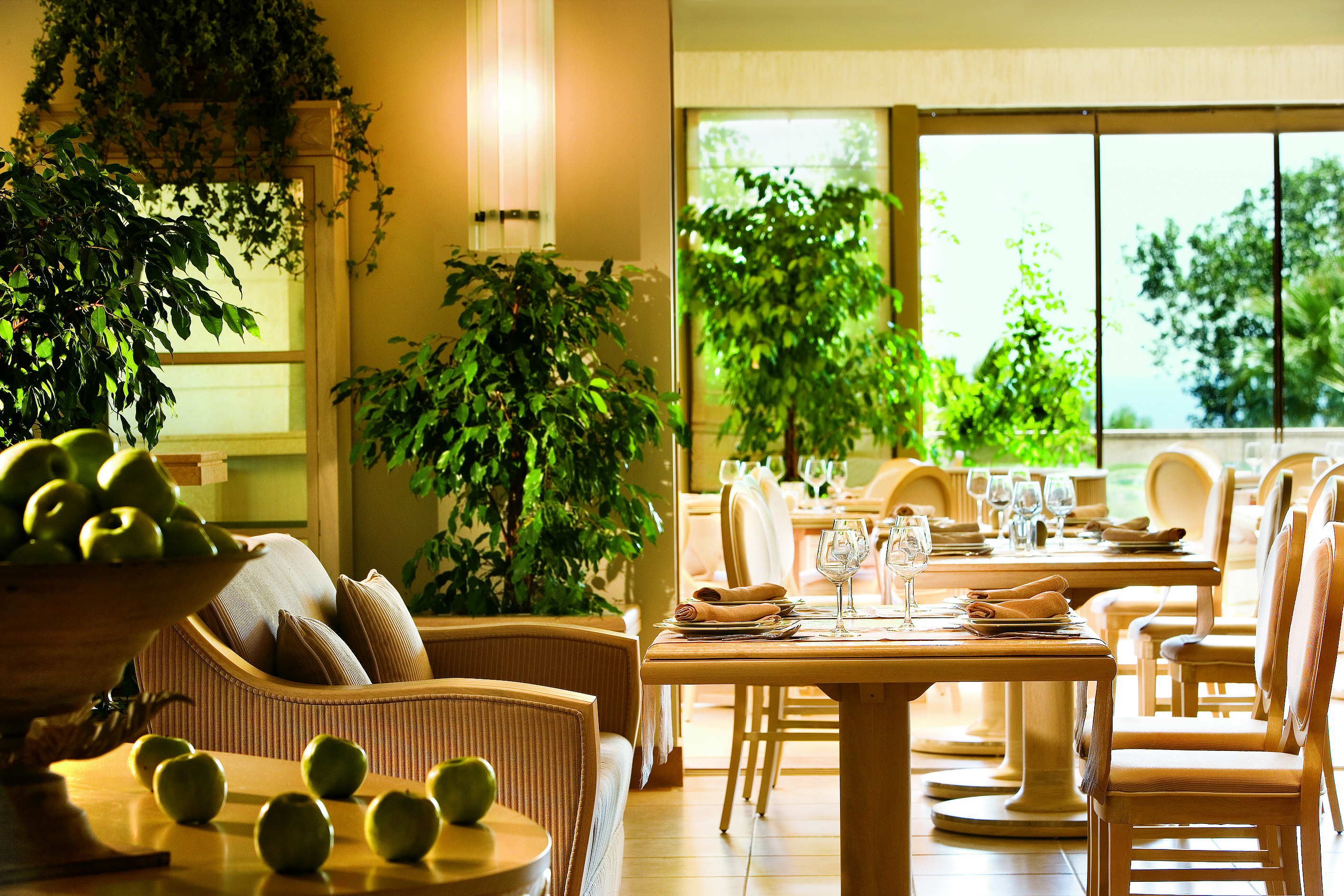 View of the Veranda restaurant at the Sani Beach. Dining chairs and tables are set up around the room with hanging plants and potted trees 