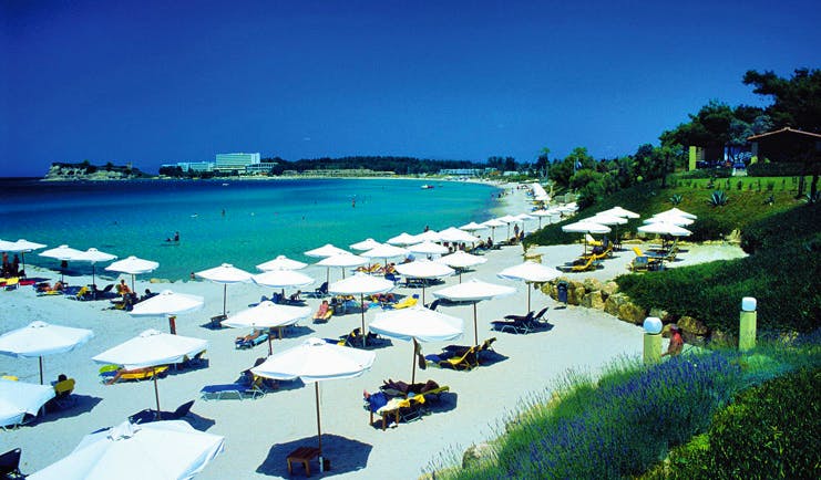 Sani Club Greece beach loungers umbrellas white sand gardens