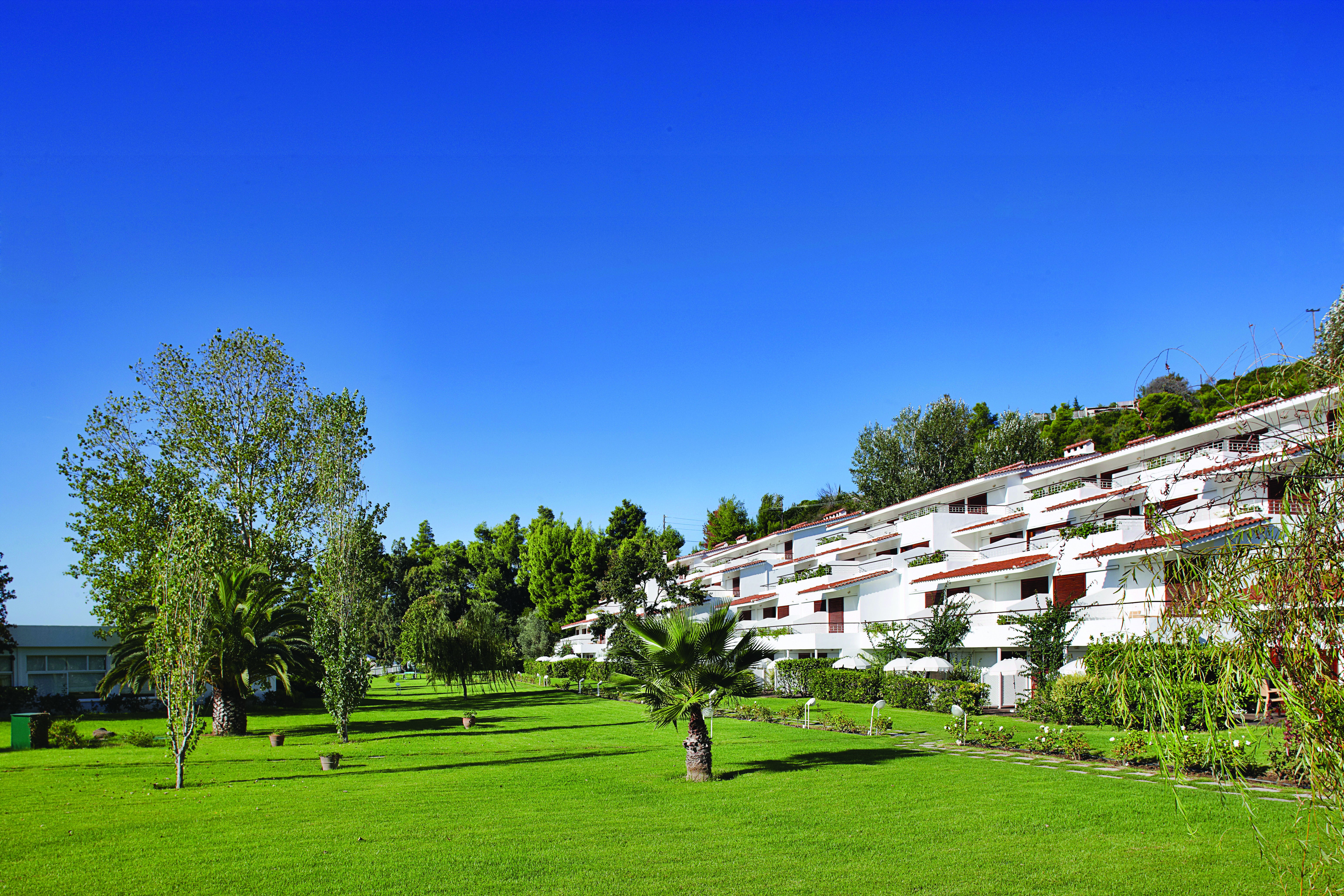 View of the hotel rooms from the green lawn, shows white building with red roof. Palm trees on the grass