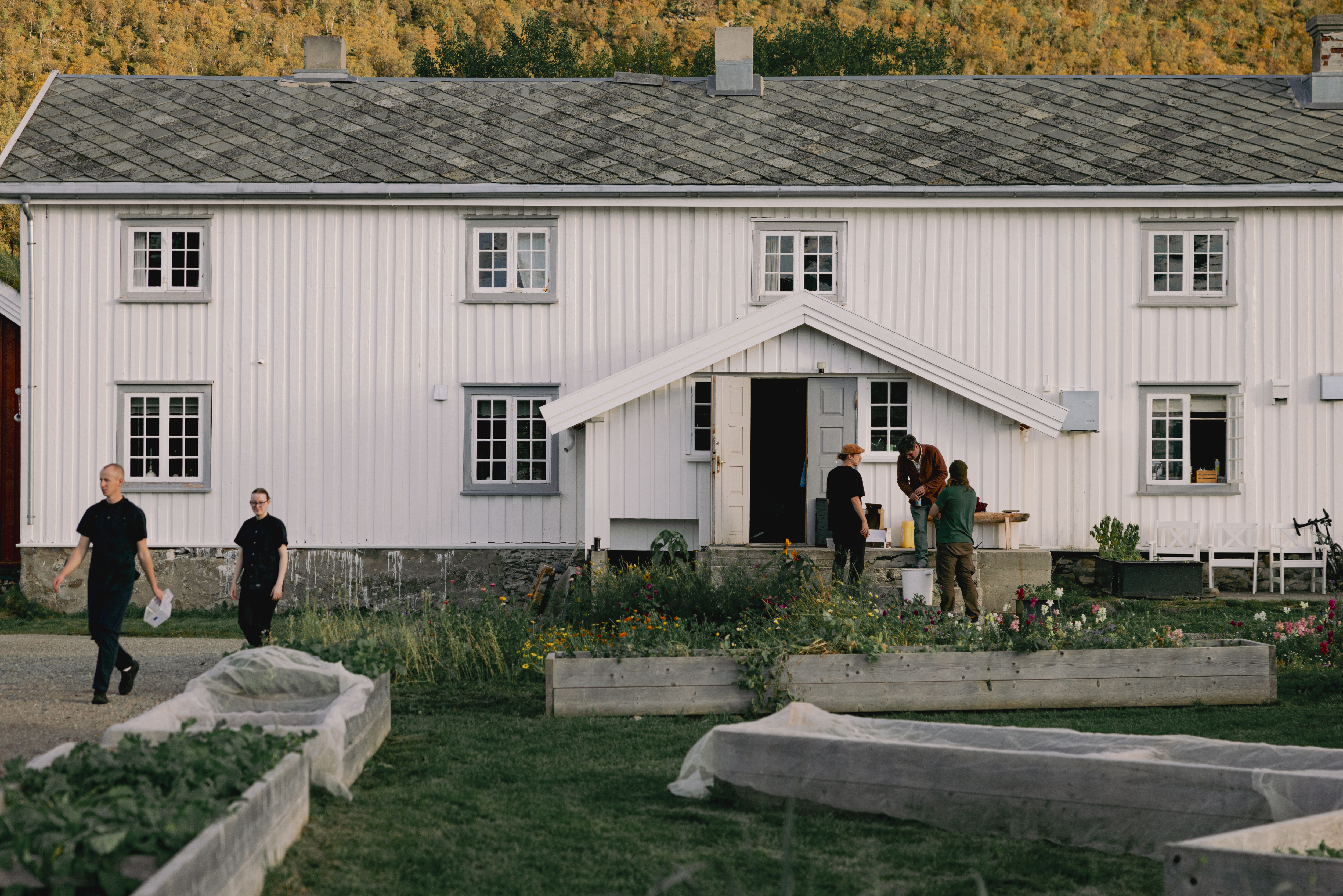 Kvitnes Gard exterior white farmhouse, with vegetable and herb gardens in front