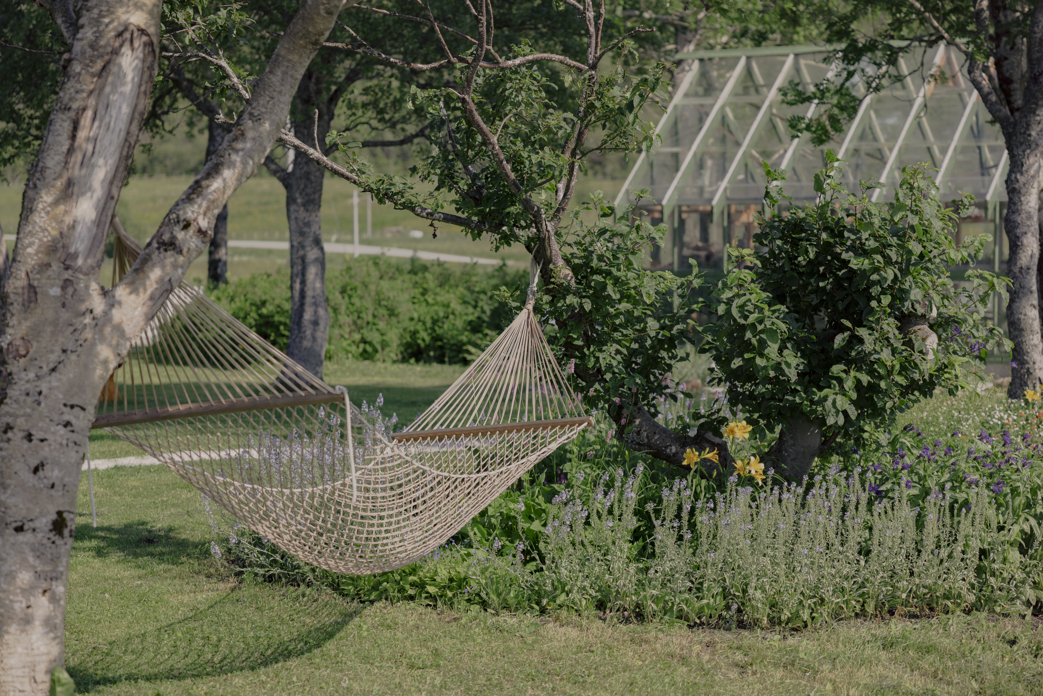 Kvitnes Gard hammock swinging from a tree in the hotel gardens, with greenhouse visible behind
