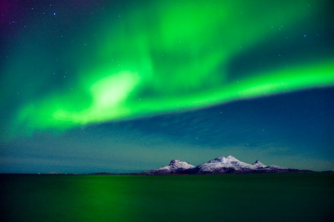 Green lights in night sky at Bodo