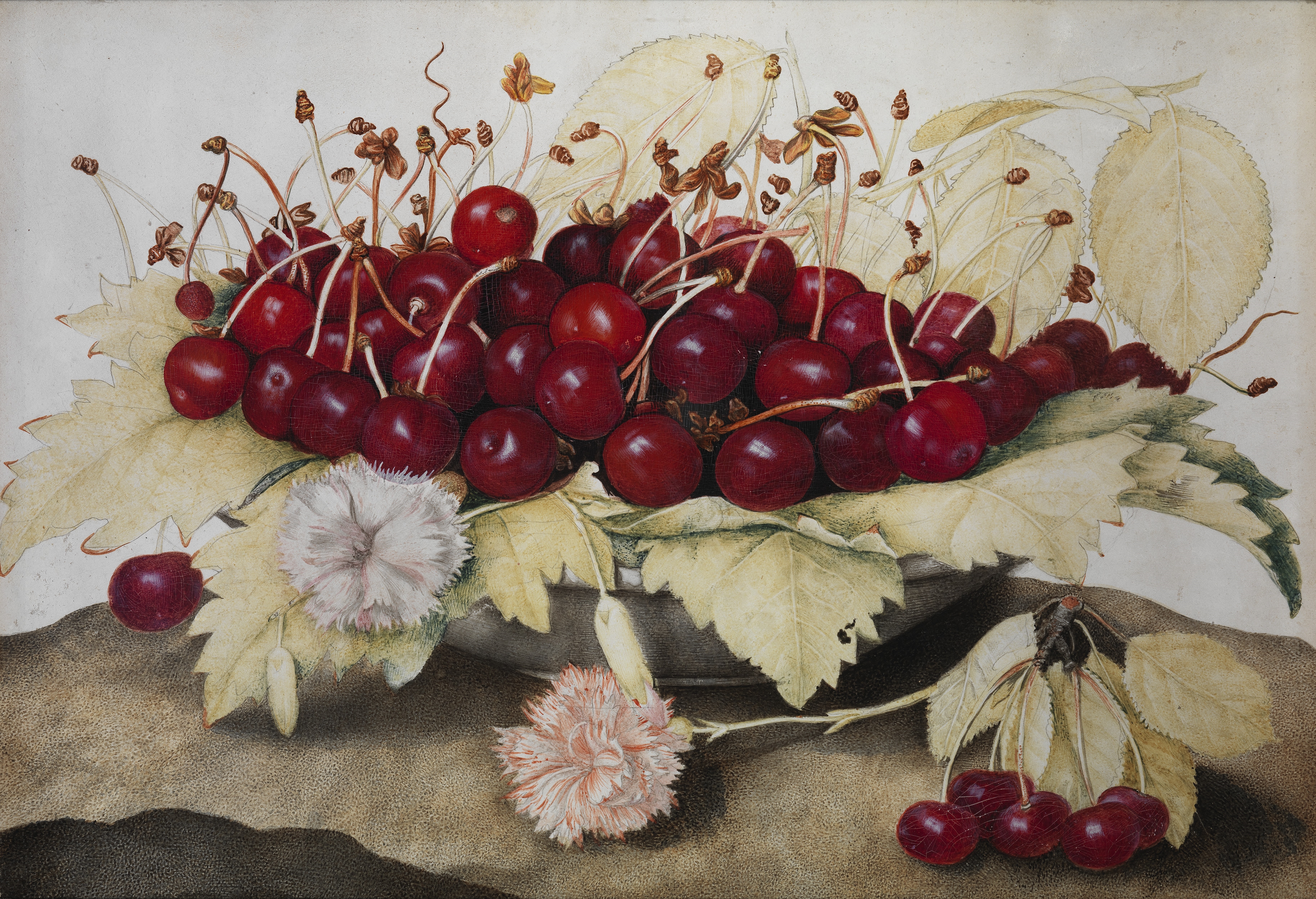 painting with cherries
