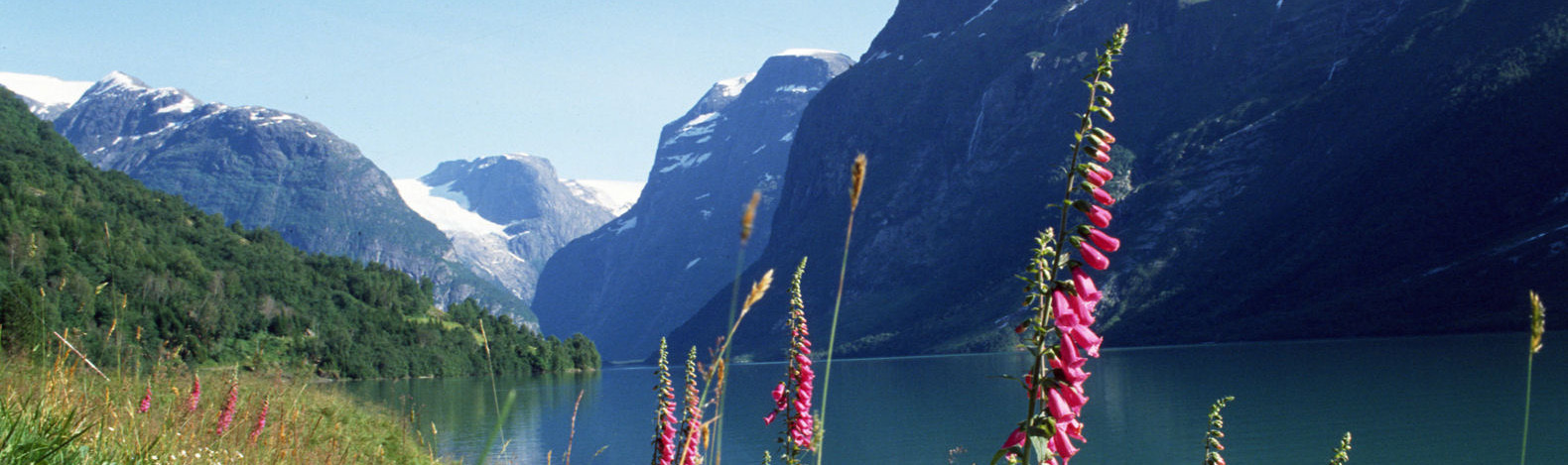 Norway fjord and mountain scenery