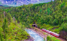 Red train in valley by river with trees on hills and mountains behind Oslo to Bergen train