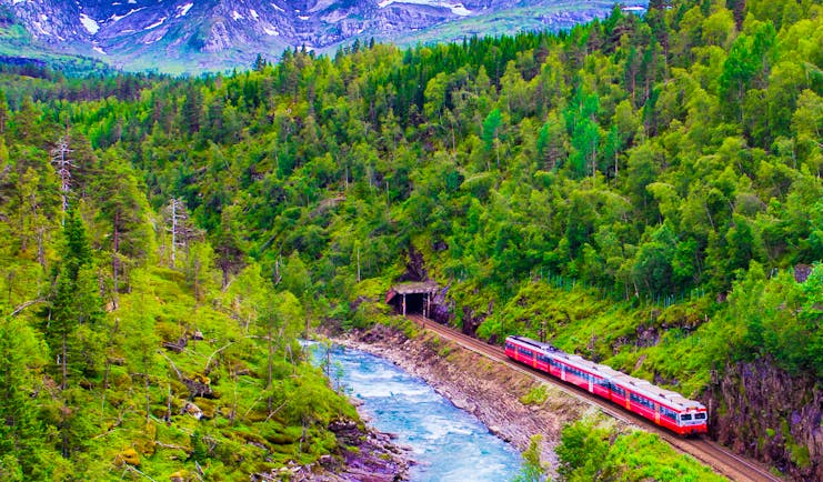 Red train in valley by river with trees on hills and mountains behind Oslo to Bergen train