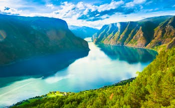 Wide and long fjord with tree clad sides Sognefjord