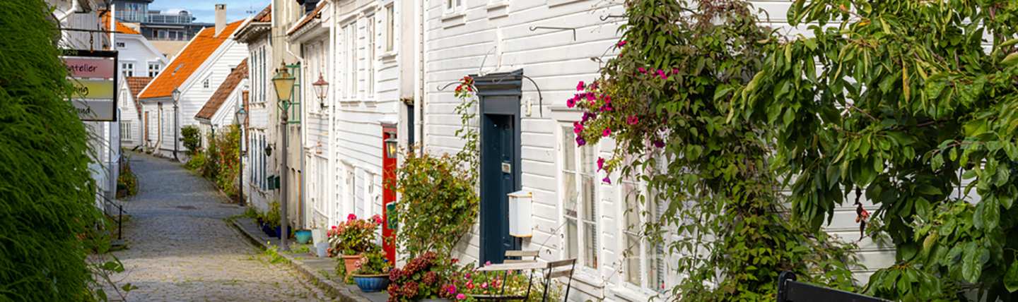 White wooden houses and plants
