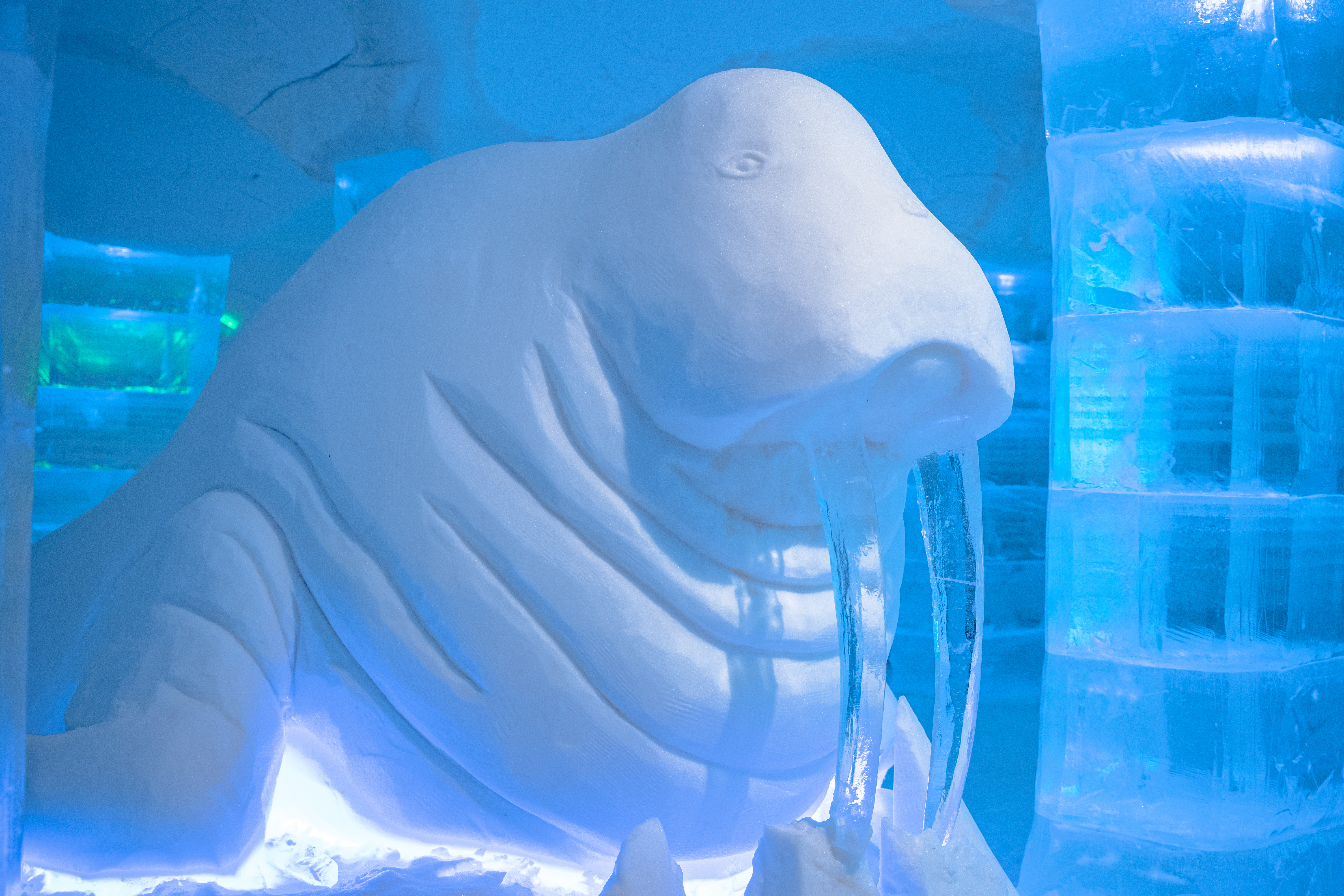 Sorrisniva Igloo Hotel