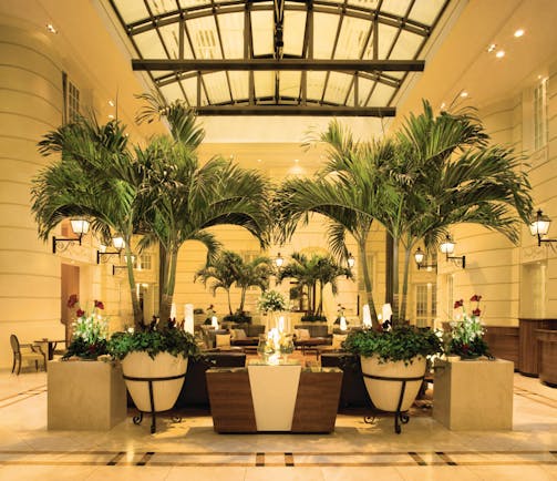 Polonia Palace Hotel grand hotel lobby with large palm trees in the centre, a high ceiling and chairs scattered around 