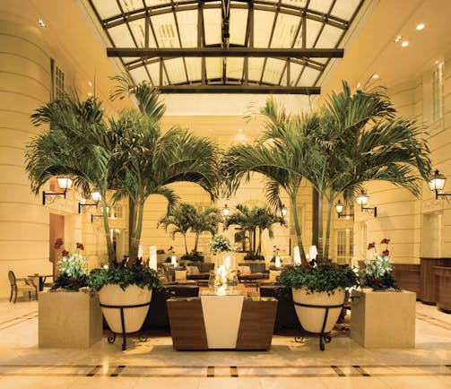 Polonia Palace Hotel grand hotel lobby with large palm trees in the centre, a high ceiling and chairs scattered around 