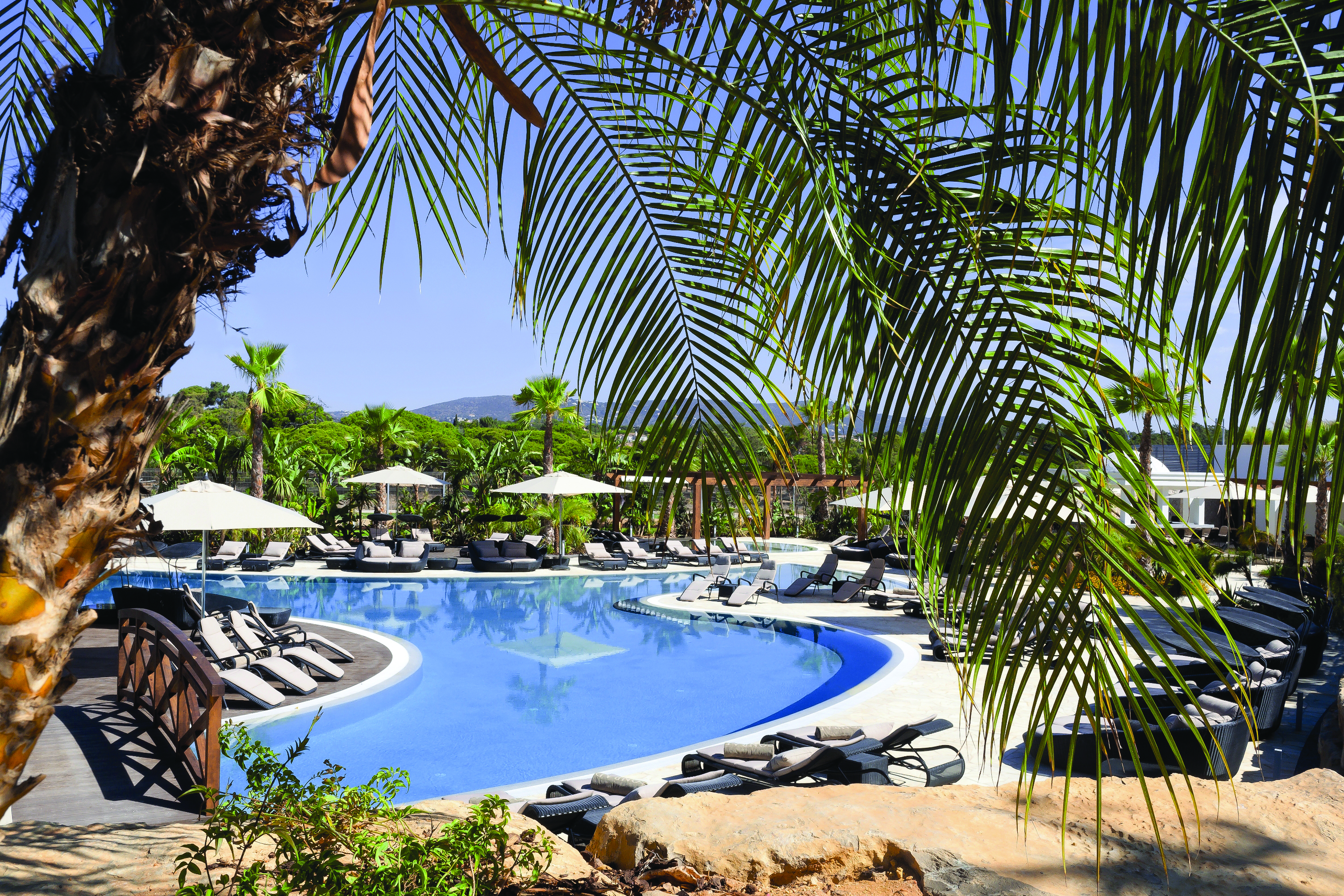 Conrad Algarve outdoor pool, sun loungers and umbrellas, palm trees