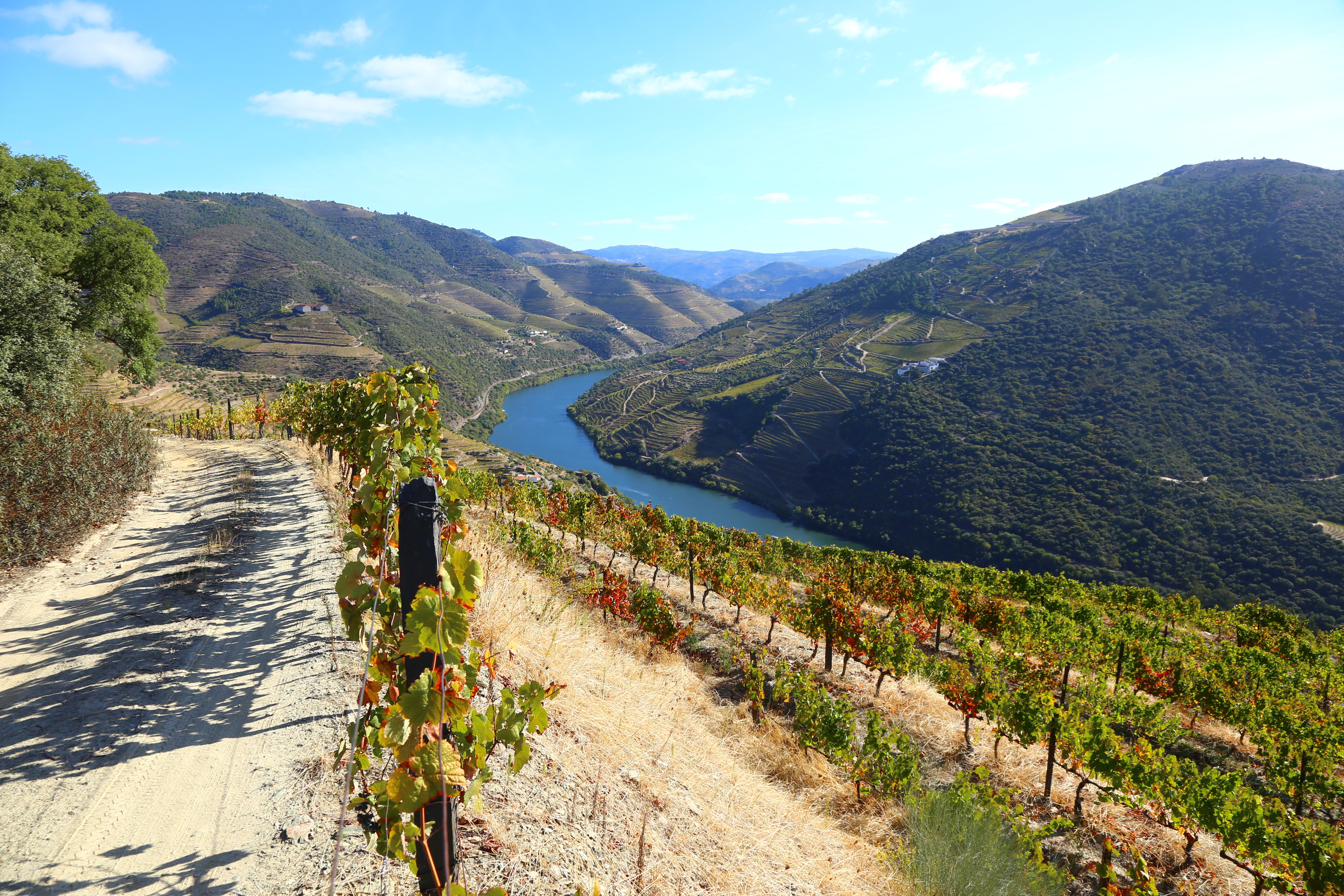 The Douro Region with river and vines