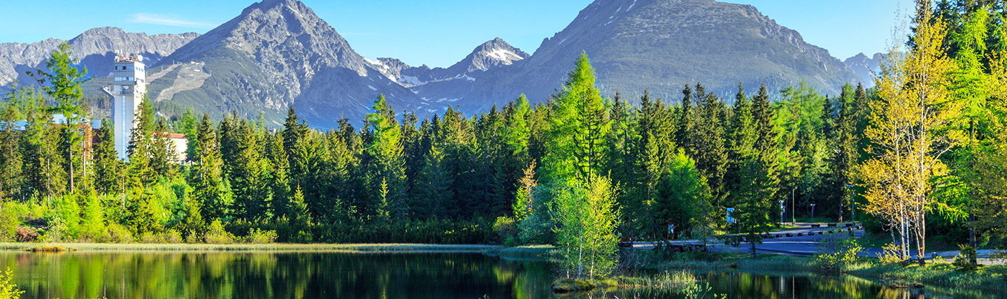Mountain scene with fir trees and dark blue lake