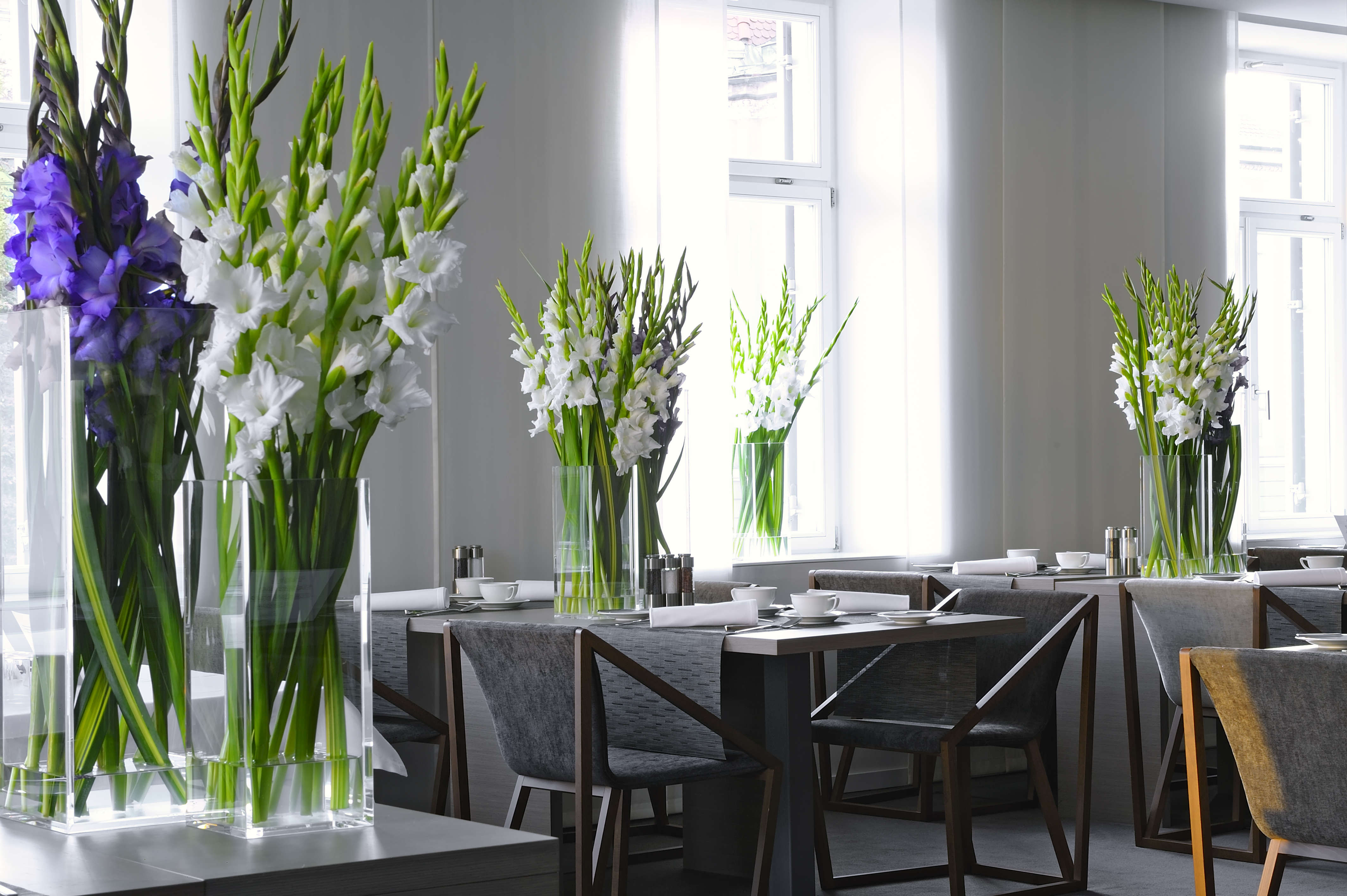 Hotel Cubo restaurant, tables ad chairs, fresh flowers in vases, white bright decor