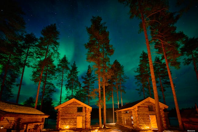 Arctic Retreat, northern lights over the cabins, tall pine trees