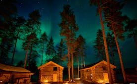Arctic Retreat, northern lights over the cabins, tall pine trees