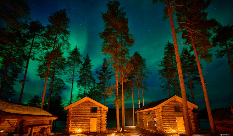 Arctic Retreat, northern lights over the cabins, tall pine trees