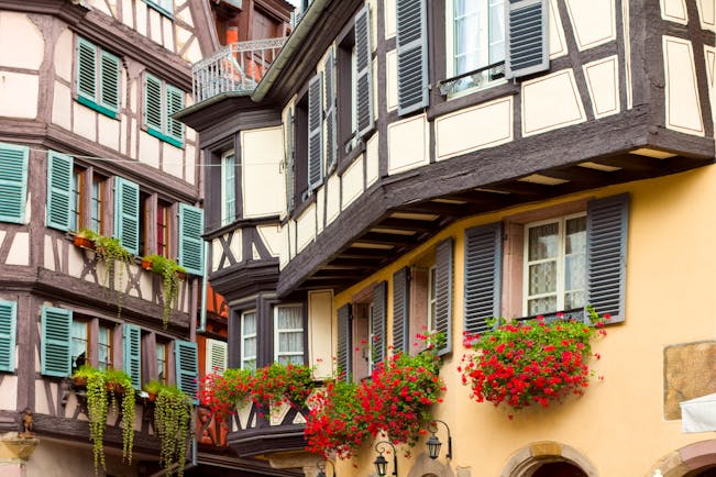 Half timbered houses with green wooden shutters in Colmar Alsace