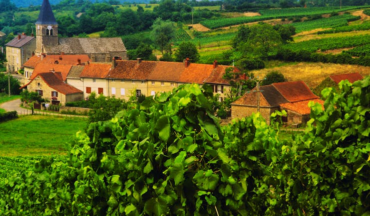 Vines and village view in Alsace