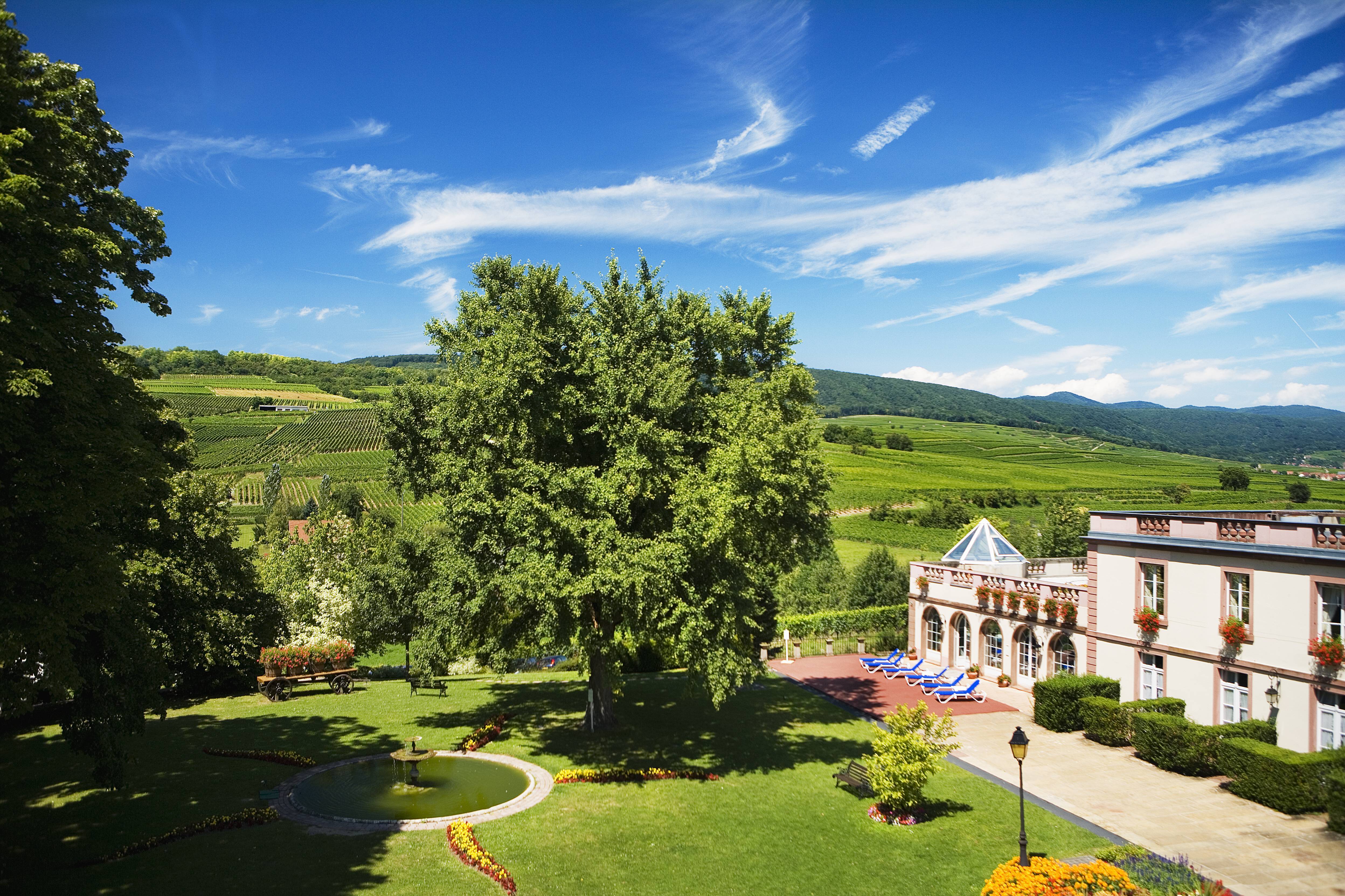 Chateau d'Isenbourg view of gardens and vineyards