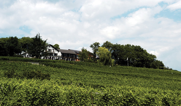 Le Clos Saint Vincent Alsace countryside white building with grey roof overlooking green fields