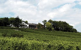Le Clos Saint Vincent Alsace countryside white building with grey roof overlooking green fields