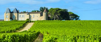 chateau with turrets amid green vineyard at chateau d'yquem bordeaux