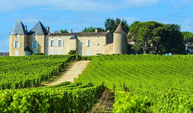 chateau with turrets amid green vineyard at chateau d'yquem bordeaux