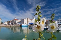 Ile de Re harbour with blue boats and hollyhocks