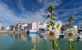 Ile de Re harbour with blue boats and hollyhocks