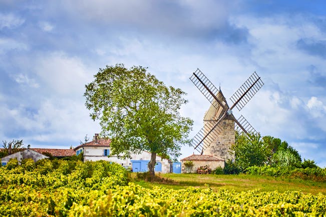 Windmill standing amid vineyard on a hill in Bordeaux region
