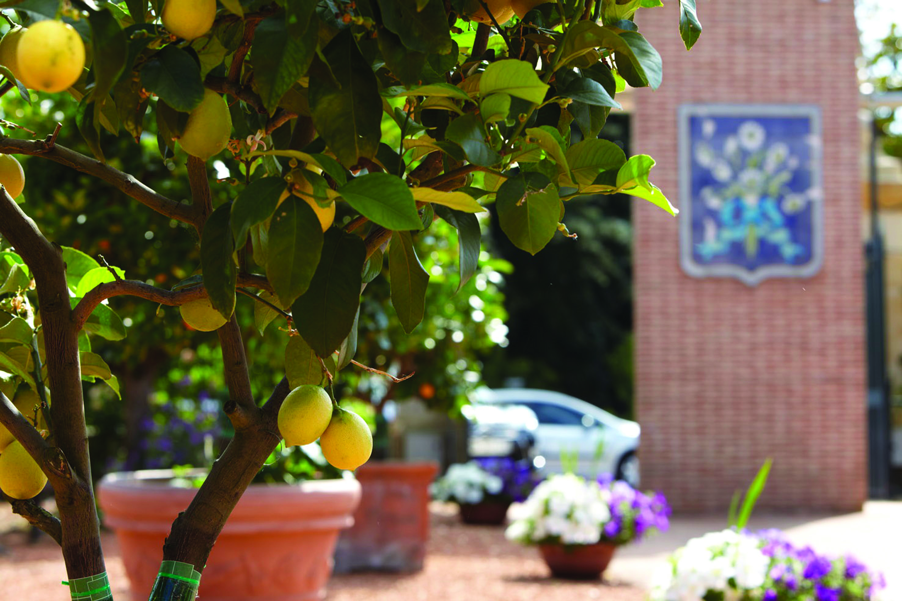 Le Saint James Bordeaux cafe seating area with chalkboards and tables and flowers