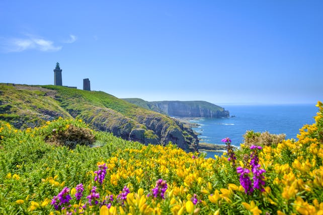 Lighthouse on cliffs with yellow gorse and violet heather in Brittany