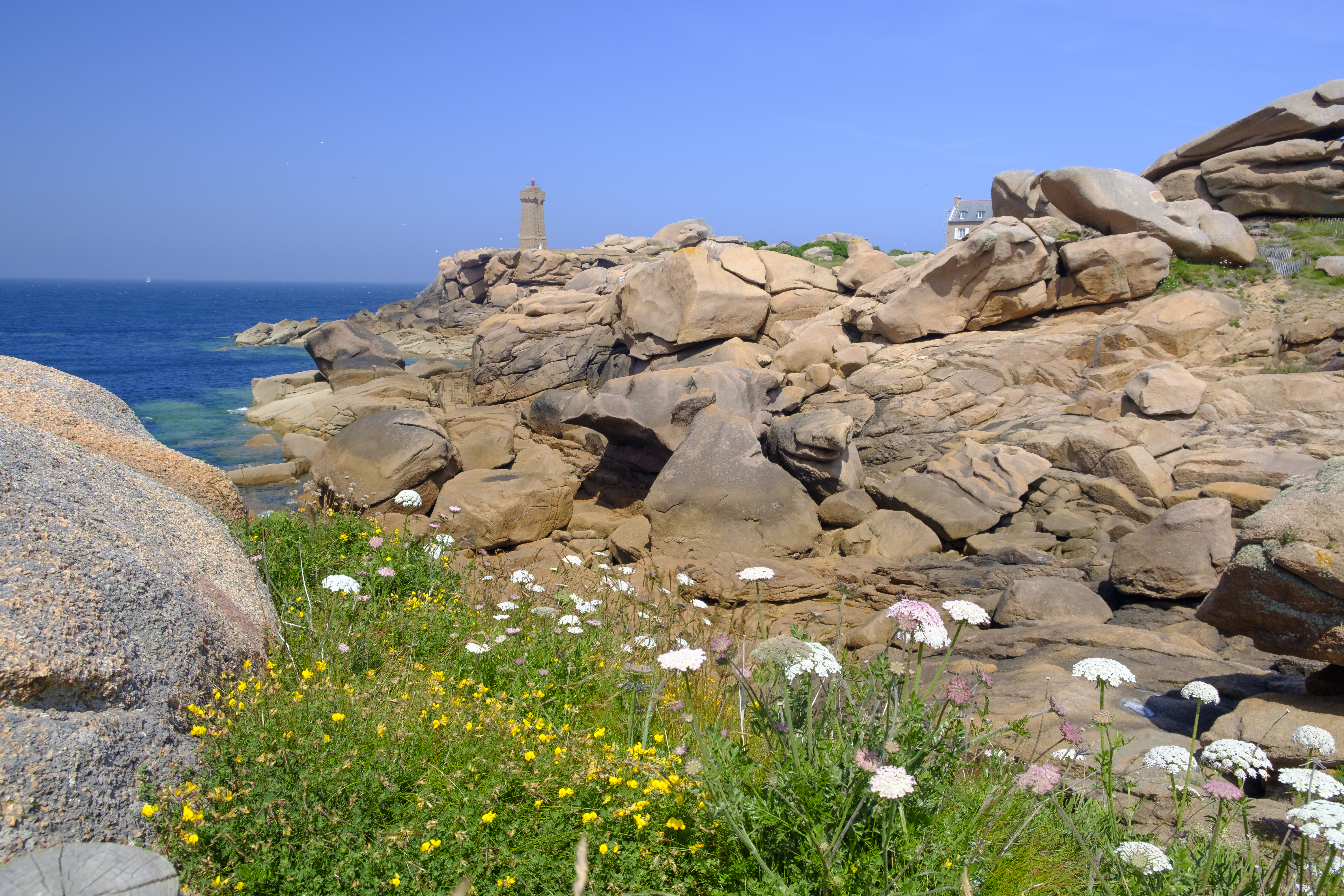 Lighthouse on cliff with rocks and flowers on Brittany coast