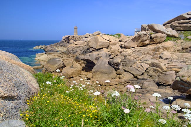 Lighthouse on cliff with rocks and flowers on Brittany coast
