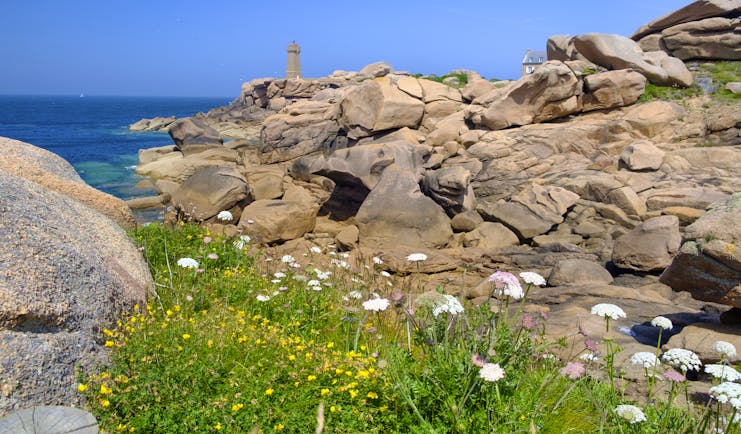 Lighthouse on cliff with rocks and flowers on Brittany coast