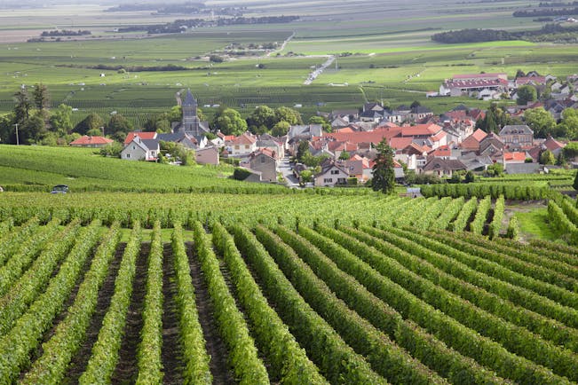 Rows of vines in Burgundy with village in background