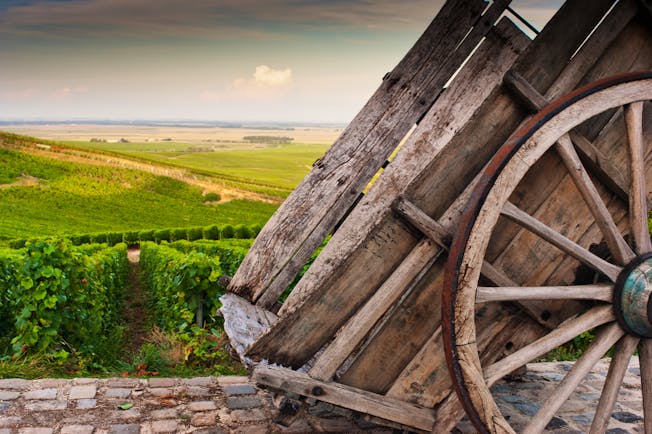 Cart and vineyards in the Chamapagne wine region near Cramant