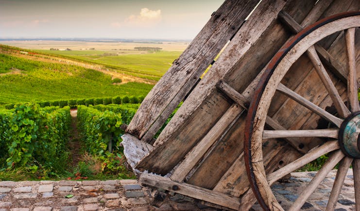 Cart and vineyards in the Chamapagne wine region near Cramant