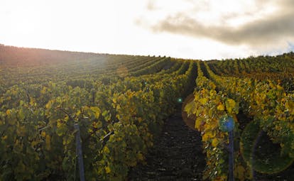 La Briqueterie country hotel in vineyards