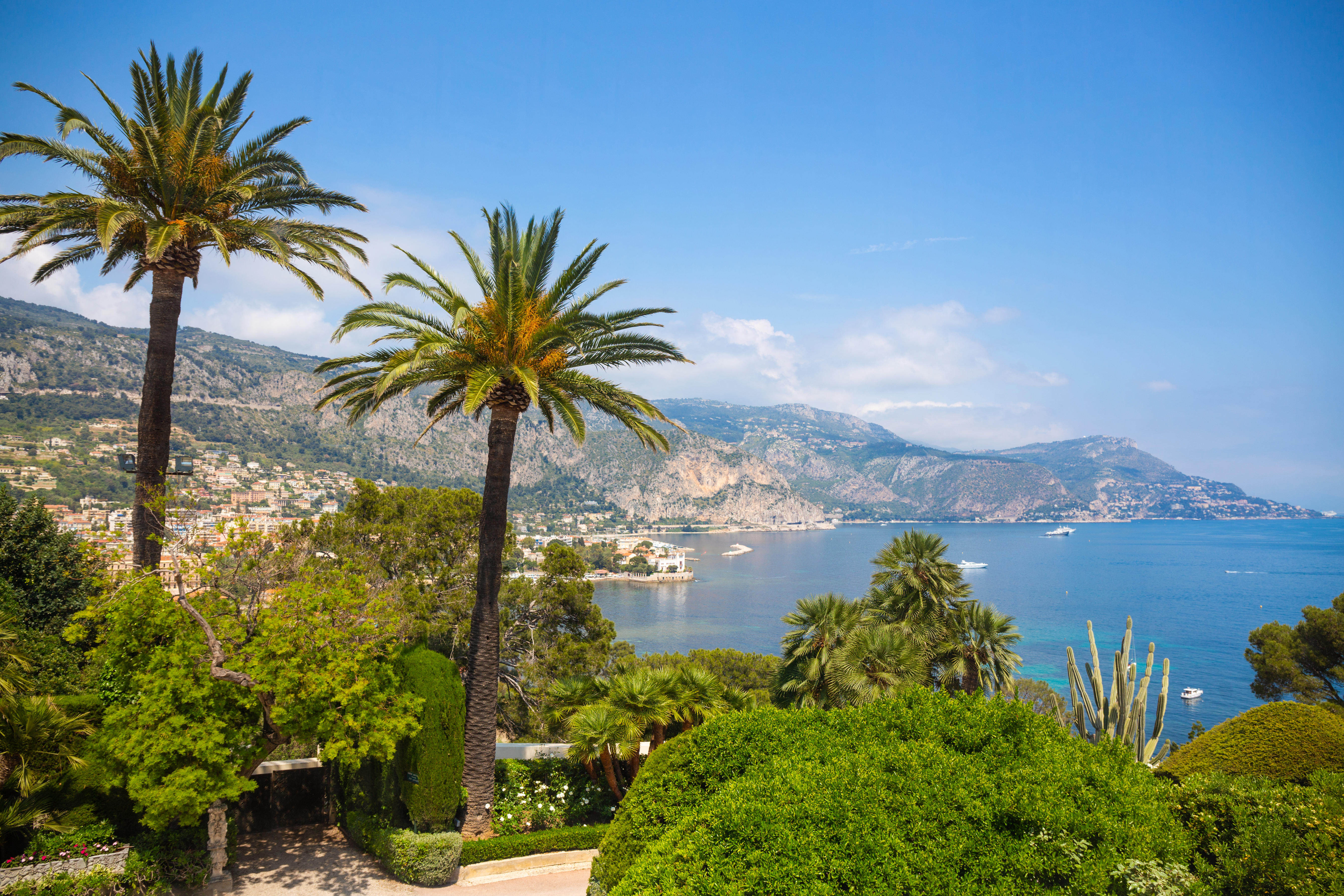 Palm trees with views over the sea at St Jean Cap Ferrat
