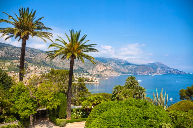 Palm trees with views over the sea at St Jean Cap Ferrat