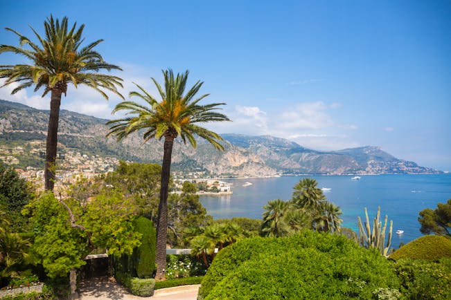 Palm trees with views over the sea at St Jean Cap Ferrat