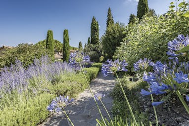 Le Mas Candille Cote d'Azur gardens nature small path in a wild garden with purple flowers