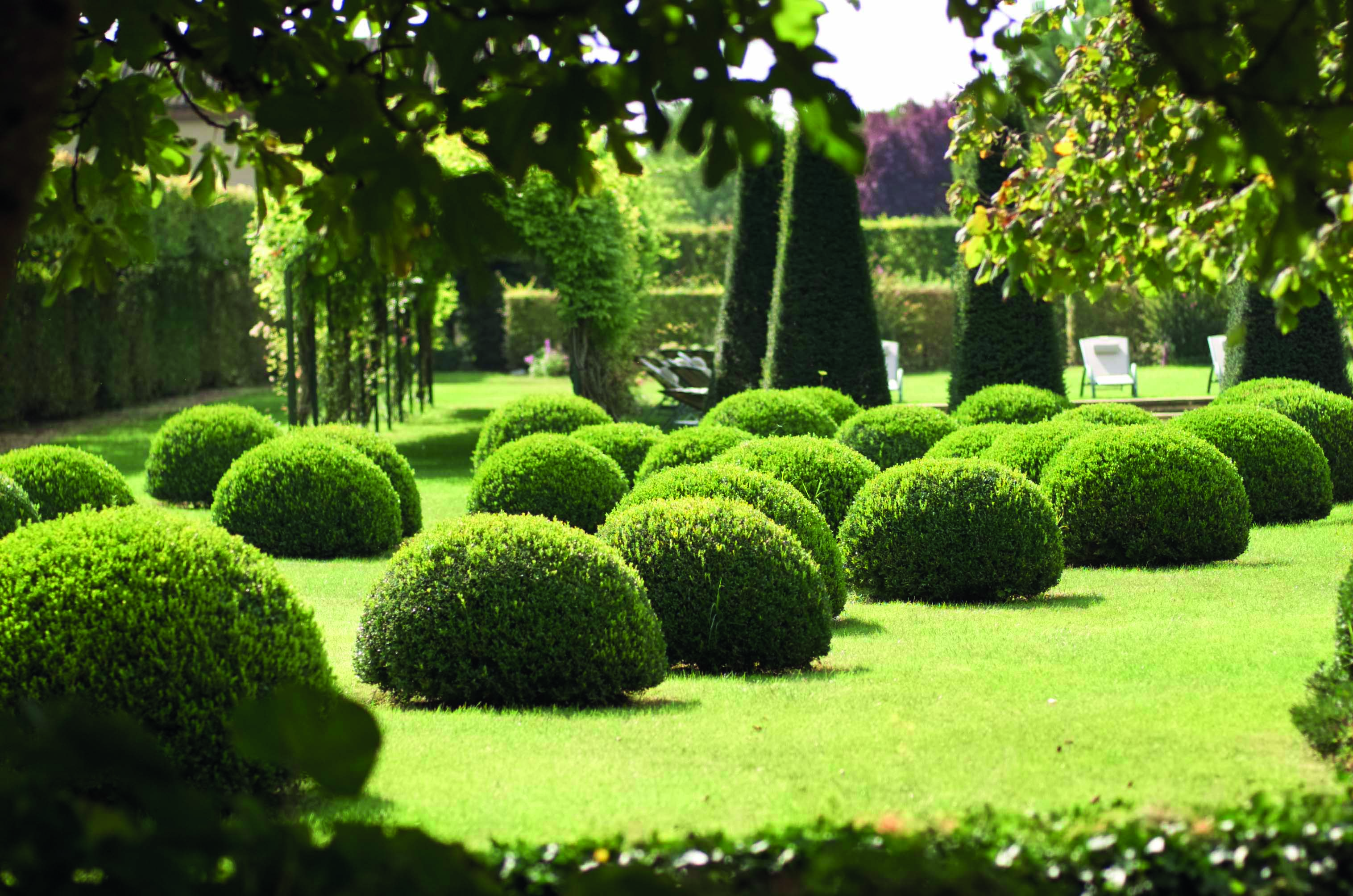 Le Vieux Logis Dordogne exterior gardens topiary gardens with hedges and trees