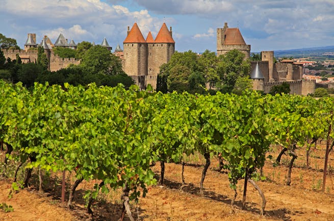 fortified town of carcassonne with vineyard